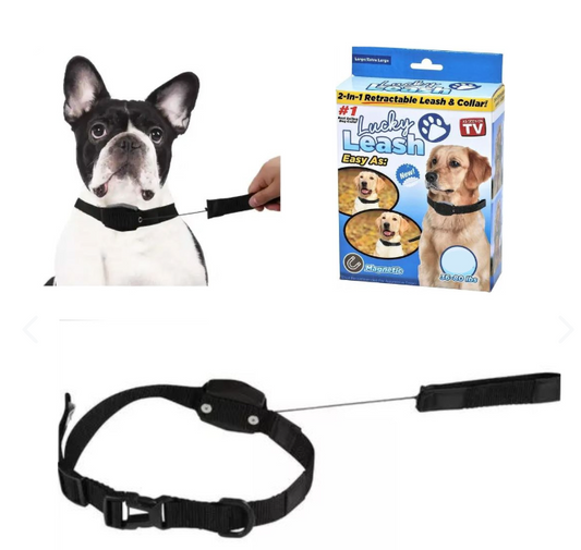 Collar Para Perro Con Correa Retráctil